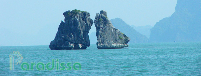 Islets of the Fighting Cocks