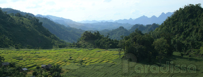 Green rice terraces at Mai Chau, Hoa Binh