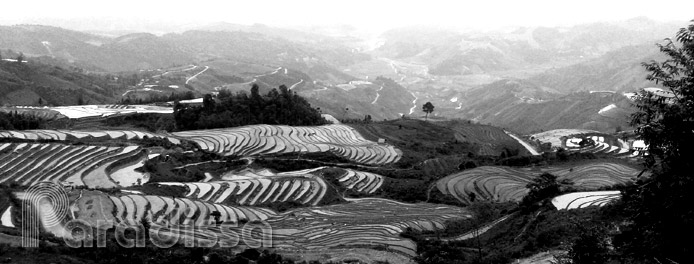 Des rizières en terrasses à Trinh Tuong, Bat Xat, Lao Cai, Vietnam