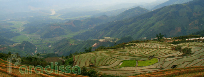 Rice terraces and mountains at Trinh Tuong, Bat Xat, Lao Cai