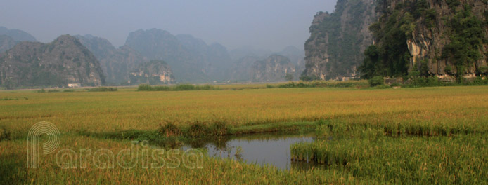 Le paysage vierge de Thung Nang, Ninh Binh, au Vietnam