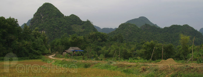 Scenic countryside with mountains and rice fields at Vo Nhai, Thai Nguyen