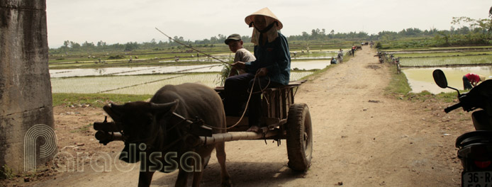 Daily life at Ho Citadel - Thanh Hoa