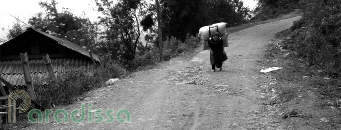 An old Hmong lady carrying a load on her back