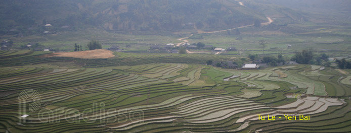 les rizières en terrasse à Tu Le, Yen Bai