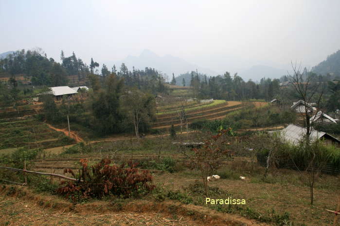 The Hmong Ta Van Chu Village at Bac Ha Vietnam
