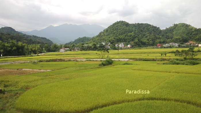 Scenic countryside at the Phu Thong T-Junction where we can get to the Ba Be National Park from Bac Kan City