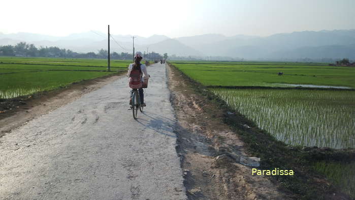 Road heading to the west of the Muong Thanh Valley