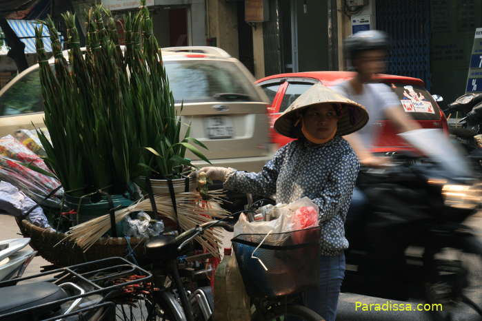 A flower vendor in Hanoi