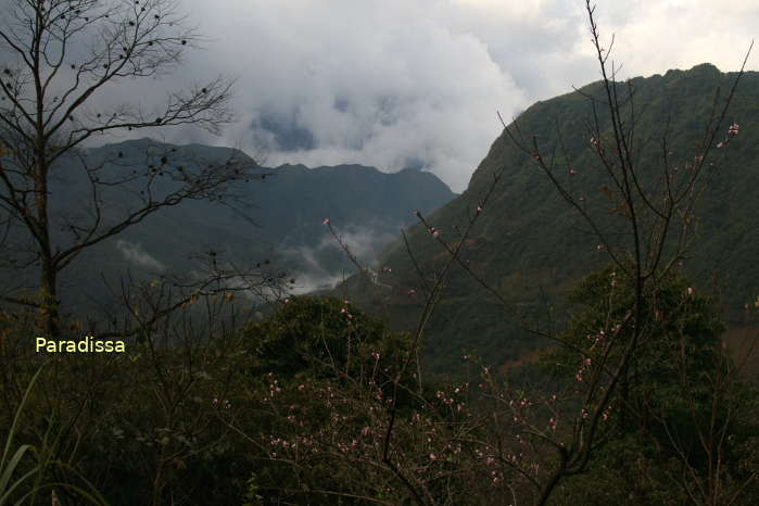 The O Quy Ho Pass between Sapa (Lao Cai Province) and Tam Duong (Lai Chau Province) in February 2024