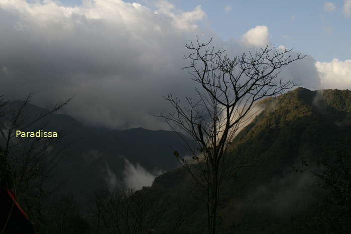 Cloud-crested mountains on the O Quy Ho Pass in Tam Duong, Lai Chau