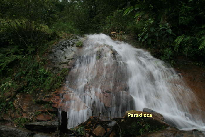 A nice waterfall in a dense forest on our trekking tour to the summit of Mount Ky Quan San (Bach Moc Luong Tu)
