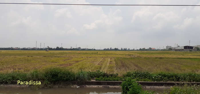 Nam Dinh Countryside