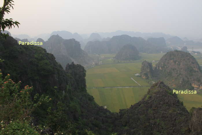 Captivating limestone mountains amid yellow rice fields at Hang Mua, Ninh Binh