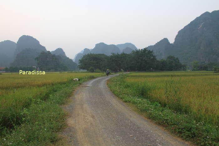 Bucolic landscape of rice fields and mountains near the Thai Vi Temple at Tam Coc where we could spend a while walking amid peaceful nature