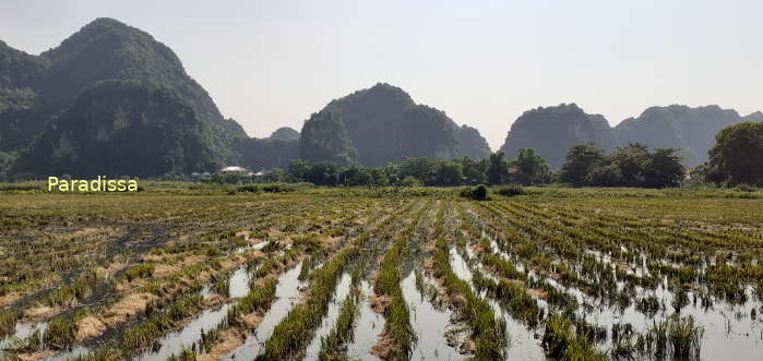Limestone mountains at the Thung Nham Bird Valley