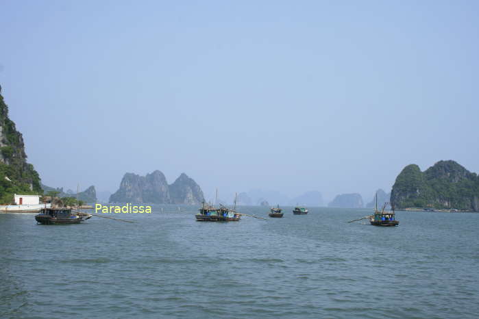 Bai Tu Long Bay is no less charming than Halong Bay, also it teems with vivid daily life of local fishing communities