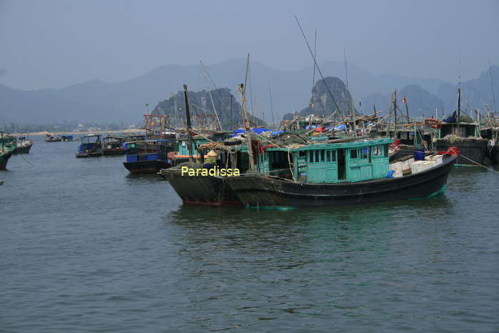 Boats off the shore of Van Don, on Bai Tu Long Bay of Quang Ninh Province
