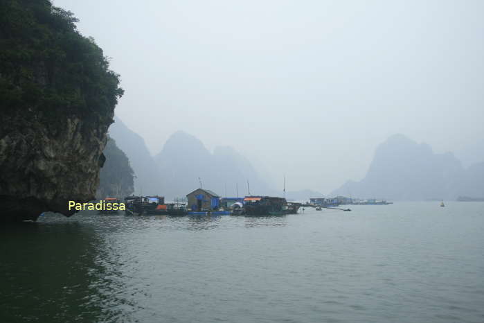 It may get foggy on the Bai Tu Long Bay and Halong Bay