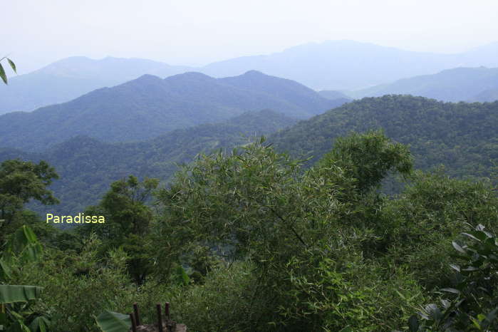 The Yen Tu Mountain Range in Quang Ninh with peaks over 1,000m above sea level