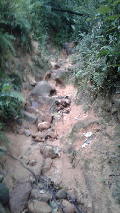 A slippery trail on the way to the summit of Mount Fansipan in Sapa