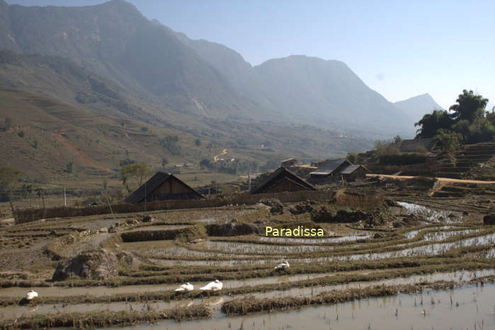 Fresh landscape at the Lao Chai - Ta Van Villages in Sapa Vietnam