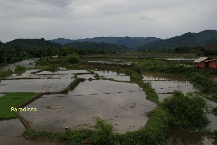 Flooded fields at the Muong Tac Valley
