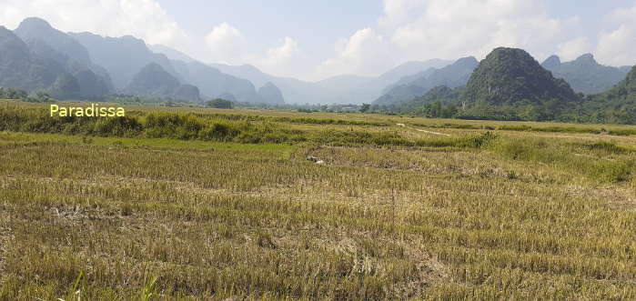 Scenic mountains and rice fields at Cam Thuy District of Thanh Hoa Province