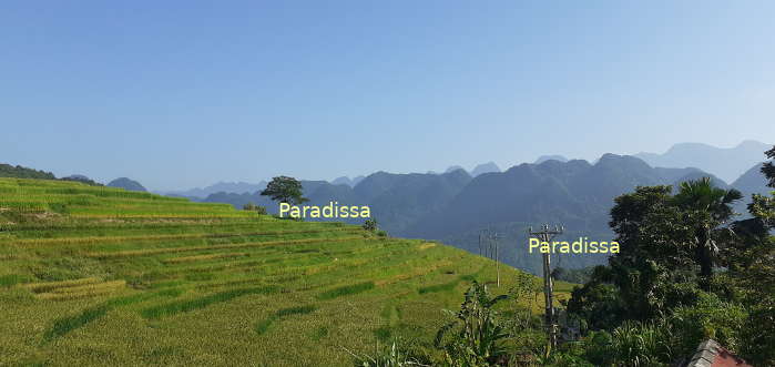 Spectacular rice terraces and mountain peaks at Pu Luong Nature Reserve