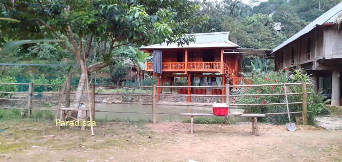 The house with pond and flowers of a Thai family who offers homestay servicee