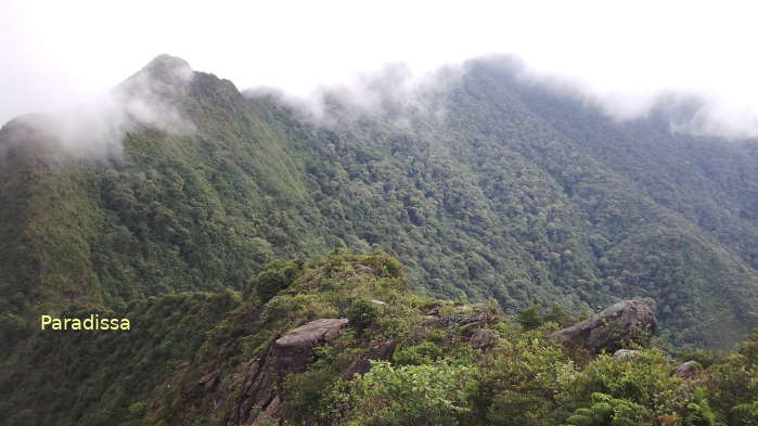 Ta Xua Mountain offers great trekking adventure amid heavenly landscape