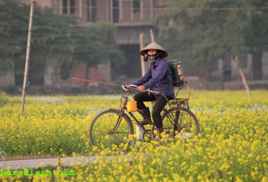 Vietnam Country Roads