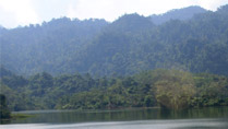 Lush nature at Ta Tai and Cardamom Mountains, Koh Kong, Cambodia