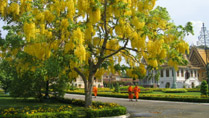 Monks at the Silver Pagoda