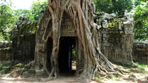 Angkor ruins