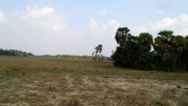 The countryside outside of Siem Reap