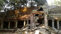 Ta Prohm Temple, Siem Reap, Cambodia