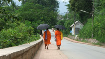 Buddhist monks on a street at Luang Pha Bang