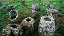 The plain of Jars The plain of Jars