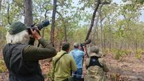 Yok Don National Park Bird Watching Tour