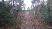 Battle of Dien Bien Phu: Battle at the C1 Hill (Eliane 1) Battle of Dien Bien Phu: Battle at the C1 Hill (Eliane 1)