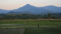 Muong Phang - Dien Bien