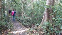 Birding at Cat Tien National Park Vietnam