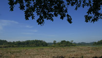 Nam Cat Tien National Park, Dong Nai, Vietnam