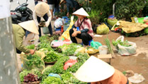 Ladies at a vegetable market Ladies at a vegetable market