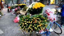 vendeuses de fleurs Hanoi Vienam