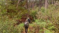 Birding at the Bidoup-Nui Ba National Park in Vietnam