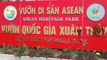 Birding at Xuan Thuy National Park Vietnam