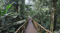 Parc national de Cuc Phuong, Ninh Binh, Vietnam