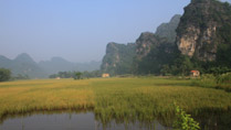 Le paysage vierge de Thung Nang, Ninh Binh, au Vietnam